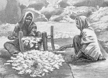 The Story of Indian Cotton