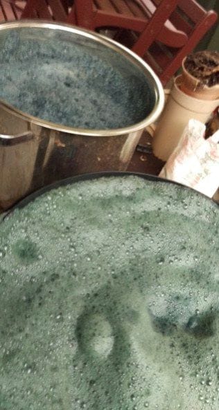 NATURAL DYES – THE HISTORY OF EXTRACTION OF BEAUTIFUL PLANT PIGMENTS