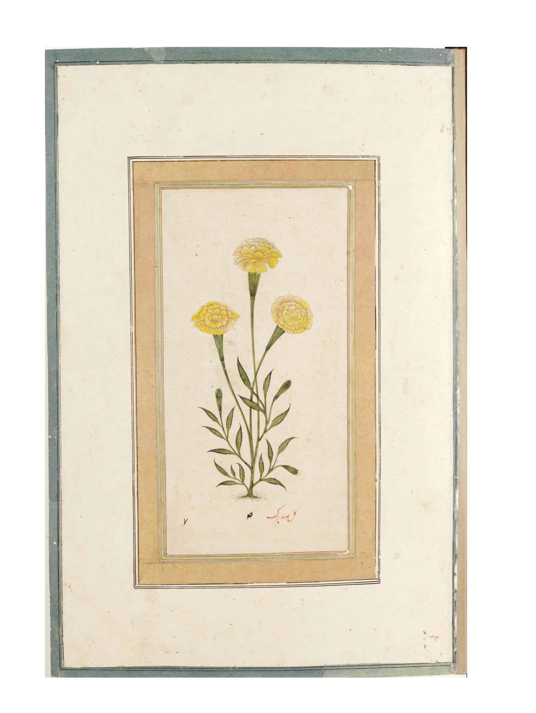 THE MUGHAL RULERS LOVE FOR BEAUTIFUL FLOWERS AND FLORAL DESIGNS